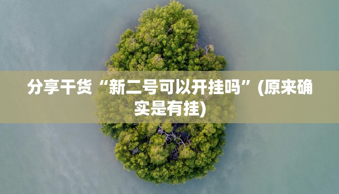 科普知识“欢乐龙城3棋牌透视免费安装”(确实是有挂)-知乎