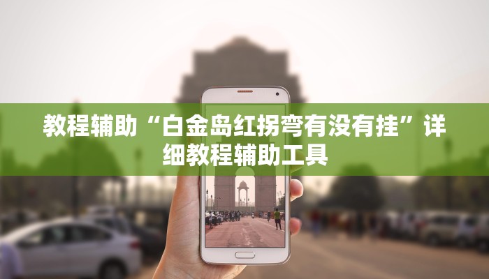 教程辅助“白金岛红拐弯有没有挂”详细教程辅助工具