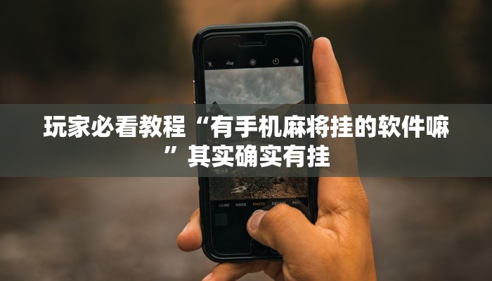 玩家必看教程“有手机麻将挂的软件嘛”其实确实有挂