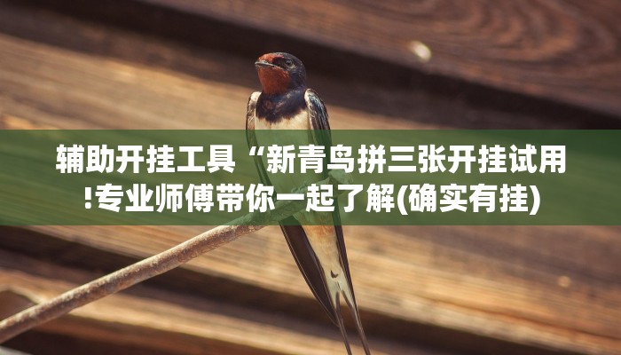辅助开挂工具“新青鸟拼三张开挂试用!专业师傅带你一起了解(确实有挂)