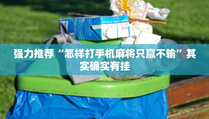 强力推荐“怎样打手机麻将只赢不输”其实确实有挂