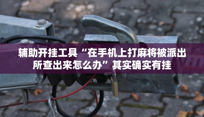 辅助开挂工具“在手机上打麻将被派出所查出来怎么办”其实确实有挂