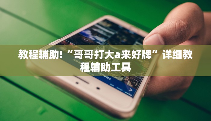 教程辅助!“哥哥打大a来好牌”详细教程辅助工具