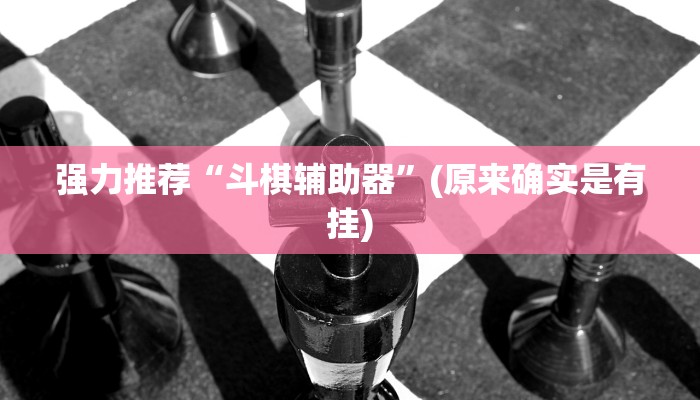 强力推荐“斗棋辅助器”(原来确实是有挂)