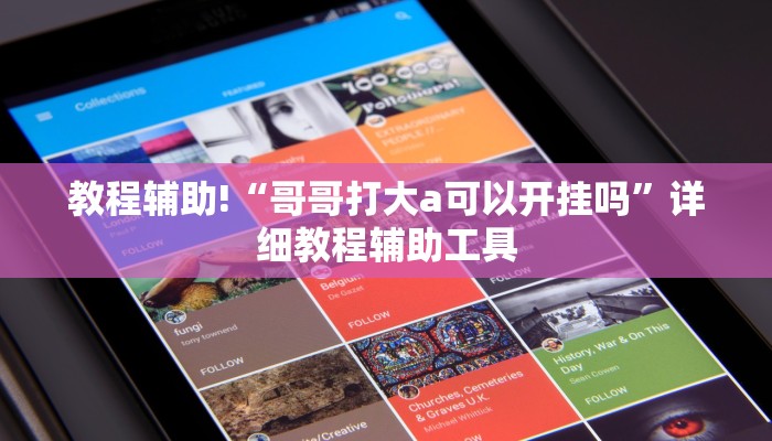 教程辅助!“哥哥打大a可以开挂吗”详细教程辅助工具