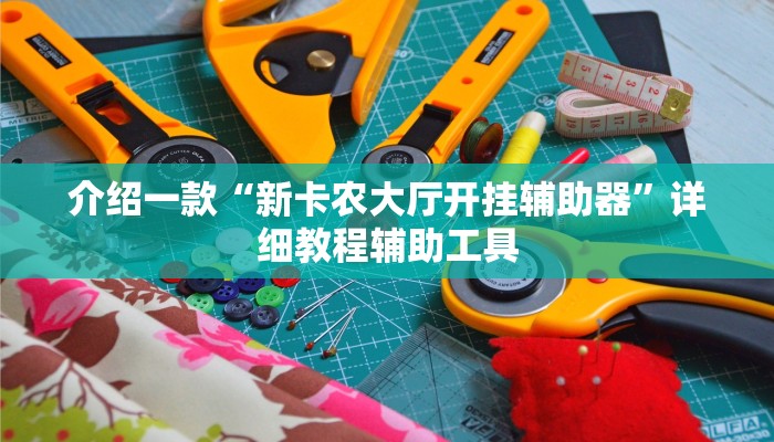 介绍一款“新卡农大厅开挂辅助器”详细教程辅助工具