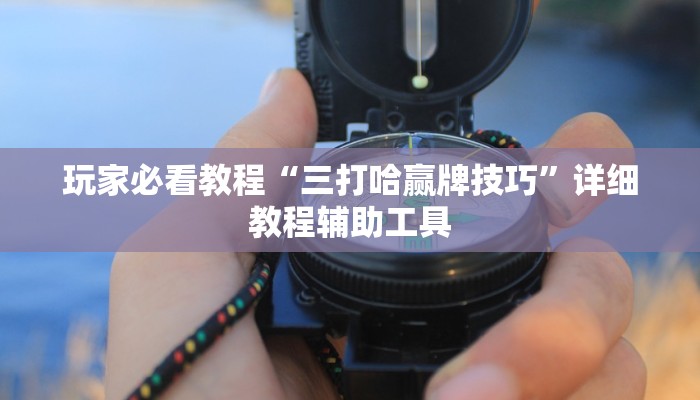 玩家必看教程“三打哈赢牌技巧”详细教程辅助工具