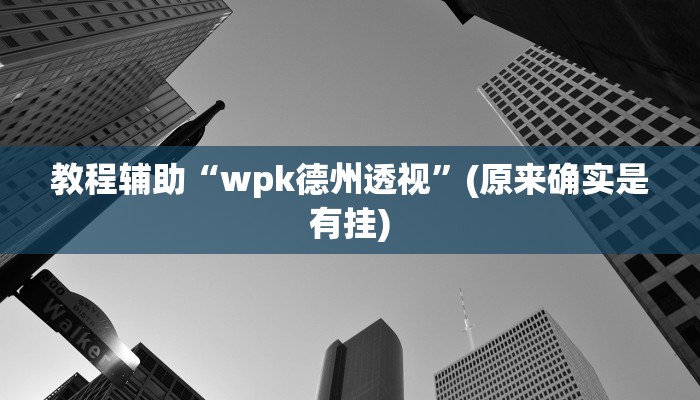 教程辅助“wpk德州透视”(原来确实是有挂)