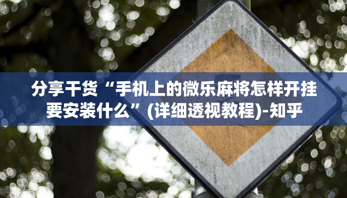 分享干货“手机上的微乐麻将怎样开挂要安装什么”(详细透视教程)-知乎