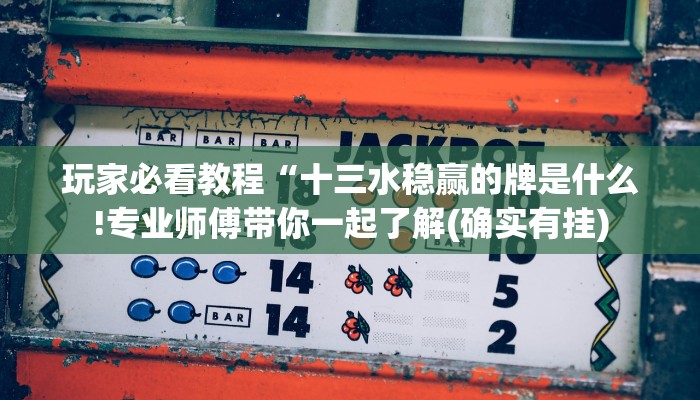 玩家必看教程“十三水稳赢的牌是什么!专业师傅带你一起了解(确实有挂)