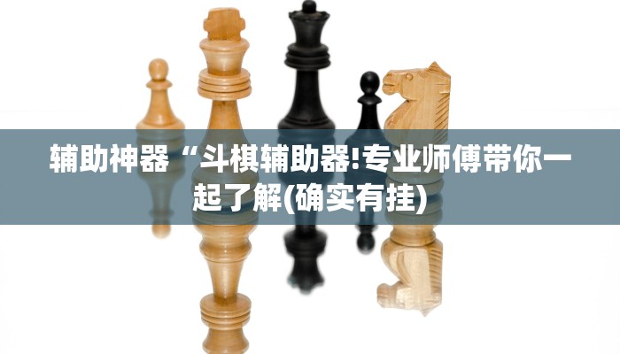 辅助神器“斗棋辅助器!专业师傅带你一起了解(确实有挂)