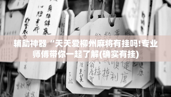 辅助神器“天天爱柳州麻将有挂吗!专业师傅带你一起了解(确实有挂)