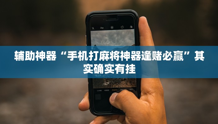 辅助神器“手机打麻将神器逢赌必赢”其实确实有挂