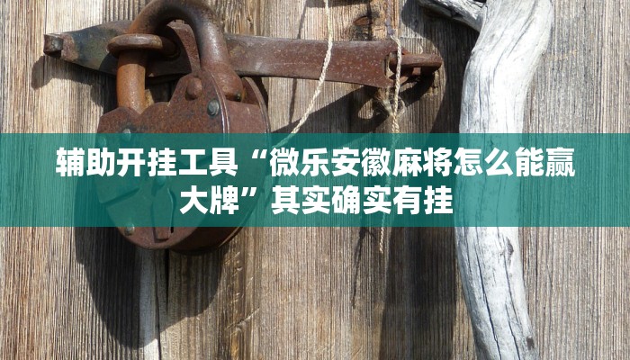 辅助开挂工具“微乐安徽麻将怎么能赢大牌”其实确实有挂