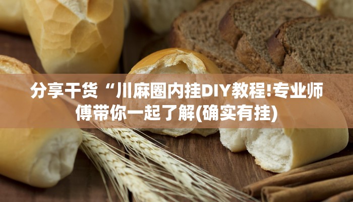 分享干货“川麻圈内挂DIY教程!专业师傅带你一起了解(确实有挂)