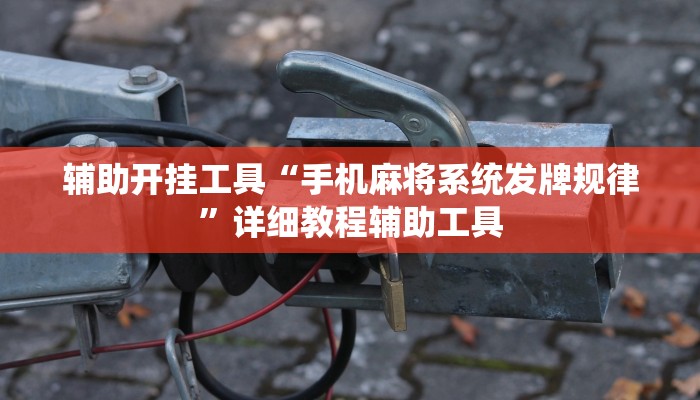 辅助开挂工具“手机麻将系统发牌规律”详细教程辅助工具