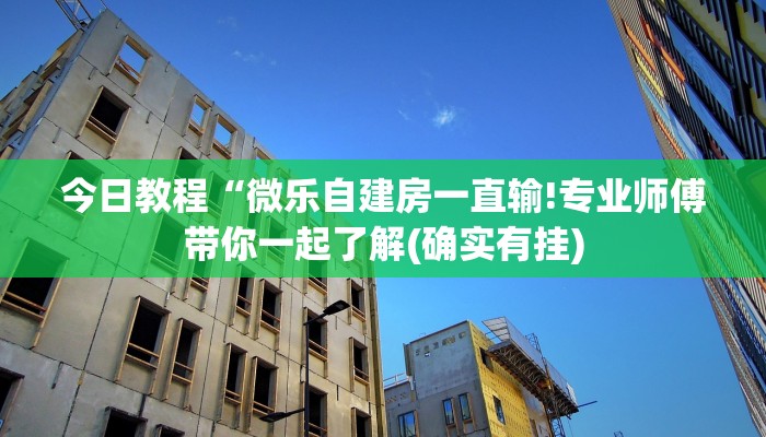 今日教程“微乐自建房一直输!专业师傅带你一起了解(确实有挂)