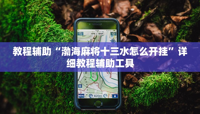 教程辅助“渤海麻将十三水怎么开挂”详细教程辅助工具