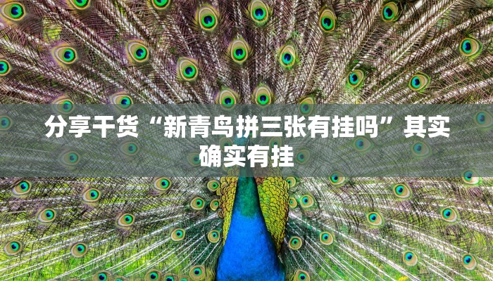分享干货“新青鸟拼三张有挂吗”其实确实有挂
