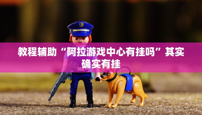 教程辅助“阿拉游戏中心有挂吗”其实确实有挂
