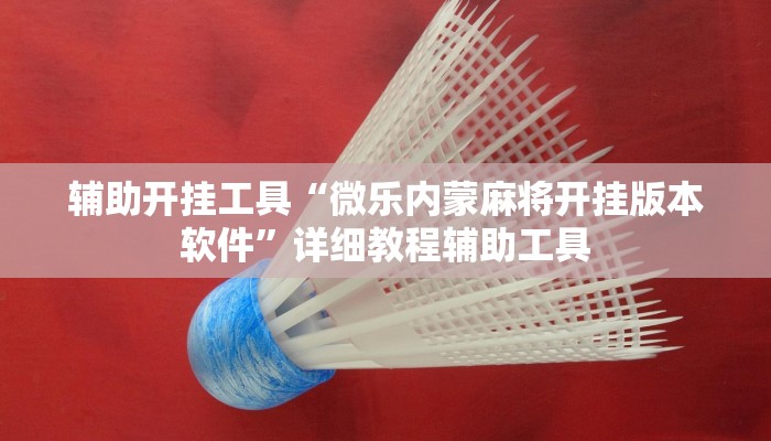 辅助开挂工具“微乐内蒙麻将开挂版本软件”详细教程辅助工具