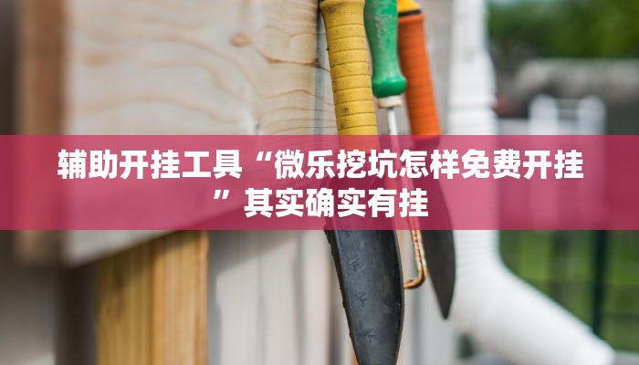 辅助开挂工具“微乐挖坑怎样免费开挂”其实确实有挂