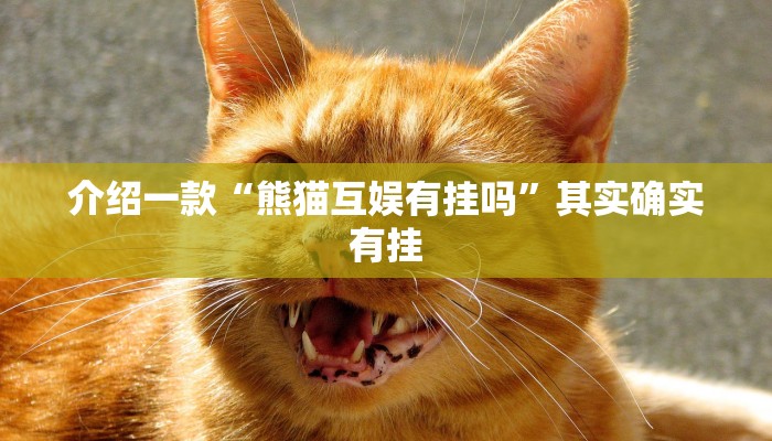 辅助神器“新荣耀棋牌房卡 有挂吗”(原来确实是有挂)