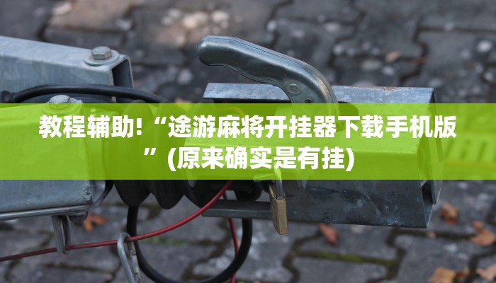 教程辅助!“途游麻将开挂器下载手机版”(原来确实是有挂)