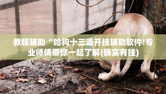 辅助开挂工具“中至窝龙全托怎么赢!专业师傅带你一起了解(确实有挂)