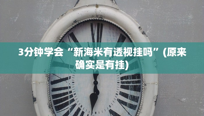 3分钟学会“新海米有透视挂吗”(原来确实是有挂)