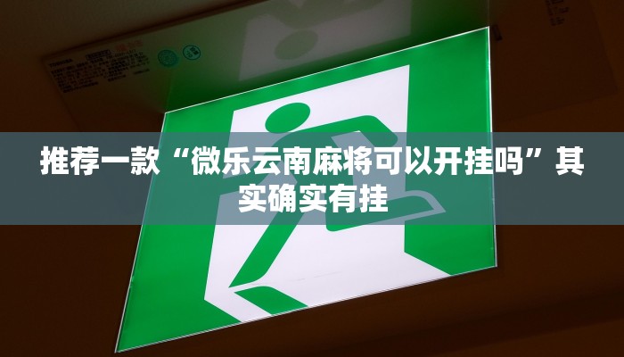 推荐一款“微乐云南麻将可以开挂吗”其实确实有挂