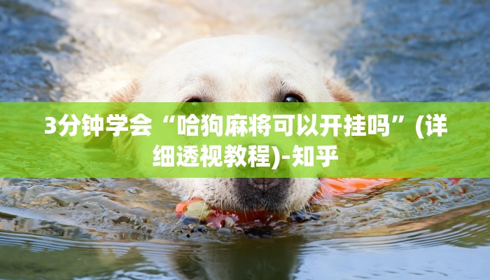 强力推荐“棋牌破解器万能破解器”(详细透视教程)-知乎