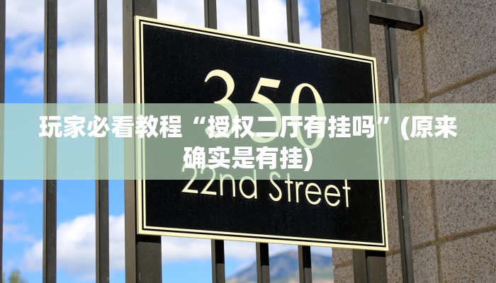 玩家必看教程“授权二厅有挂吗”(原来确实是有挂)