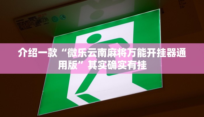 介绍一款“微乐云南麻将万能开挂器通用版”其实确实有挂