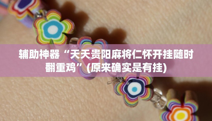辅助神器“天天贵阳麻将仁怀开挂随时翻重鸡”(原来确实是有挂)