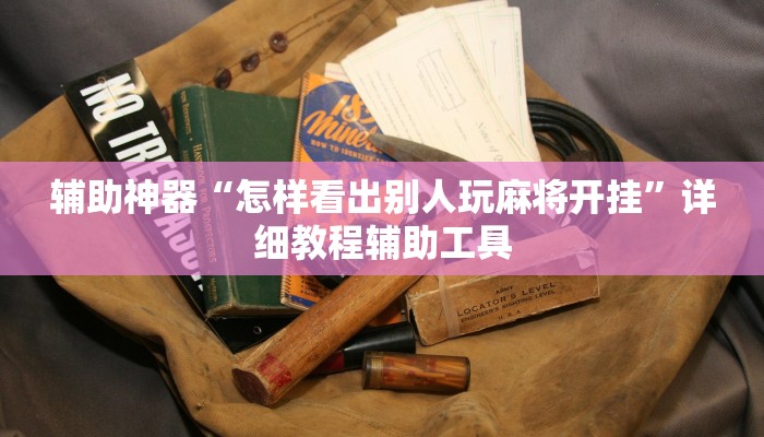 辅助神器“怎样看出别人玩麻将开挂”详细教程辅助工具
