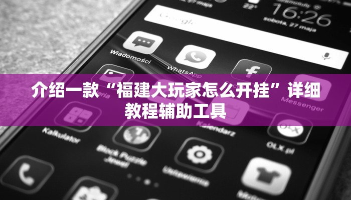 介绍一款“福建大玩家怎么开挂”详细教程辅助工具