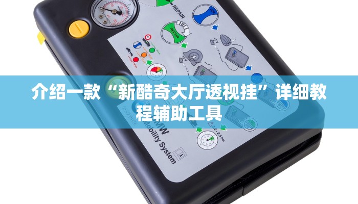 介绍一款“新酷奇大厅透视挂”详细教程辅助工具