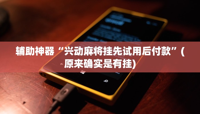 辅助神器“兴动麻将挂先试用后付款”(原来确实是有挂)