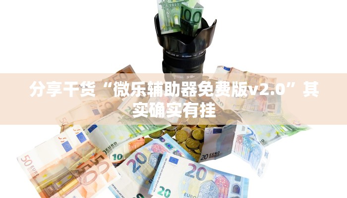分享干货“微乐辅助器免费版v2.0”其实确实有挂