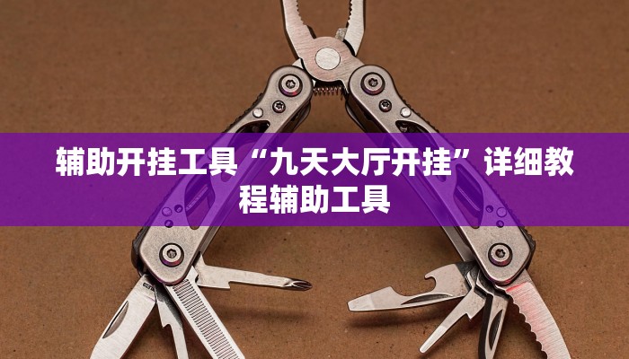 辅助开挂工具“九天大厅开挂”详细教程辅助工具