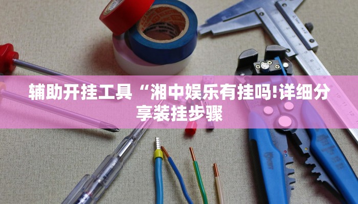辅助开挂工具“湘中娱乐有挂吗!详细分享装挂步骤
