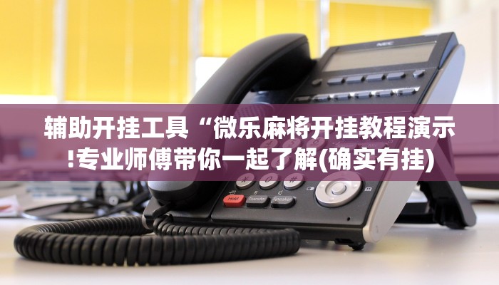 辅助开挂工具“微乐麻将开挂教程演示!专业师傅带你一起了解(确实有挂)