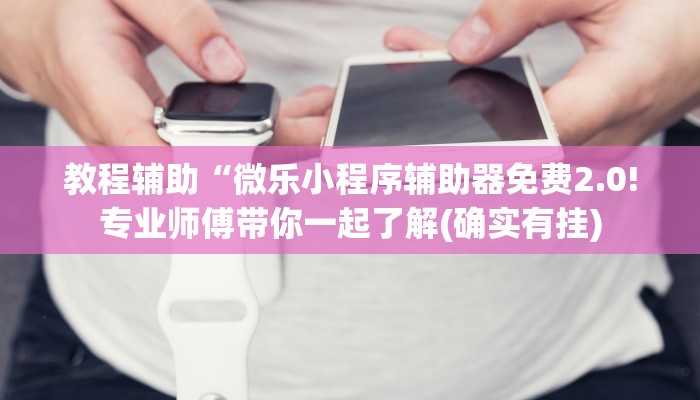 教程辅助“微乐小程序辅助器免费2.0!专业师傅带你一起了解(确实有挂)