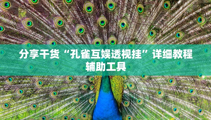 分享干货“孔雀互娱透视挂”详细教程辅助工具