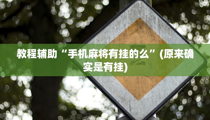 教程辅助“手机麻将有挂的么”(原来确实是有挂)