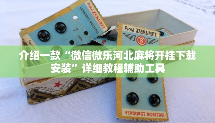 介绍一款“微信微乐河北麻将开挂下载安装”详细教程辅助工具