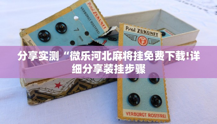 分享实测“微乐河北麻将挂免费下载!详细分享装挂步骤