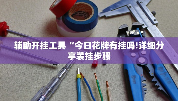 辅助开挂工具“今日花牌有挂吗!详细分享装挂步骤