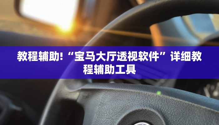 教程辅助!“宝马大厅透视软件”详细教程辅助工具